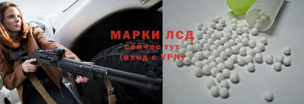 твердый Ельня