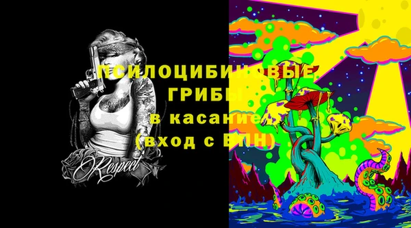 твердый Елизово