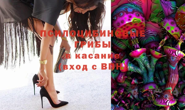 амф Елабуга