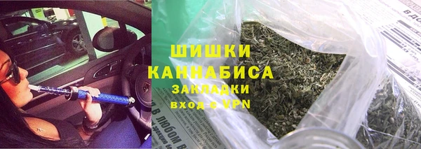 твердый Ельня