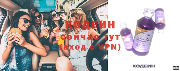 твердый Ельня