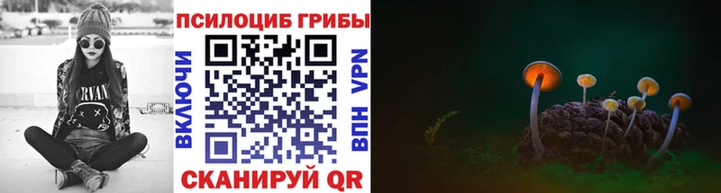 Псилоцибиновые грибы мухоморы  Жуковский 